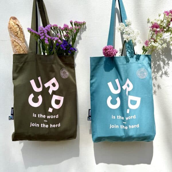 Curd is the Word Green & Blue tote, Styled